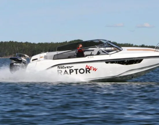 Silver raptor
